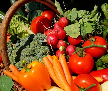多種類の野菜の画像